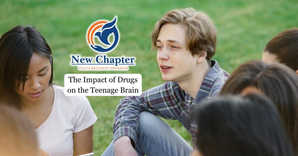 The Impact of Drugs on the Teenage Brain
