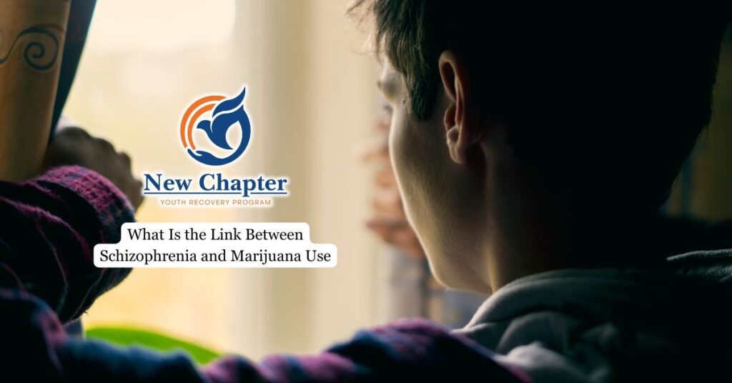 What Is the Link Between Schizophrenia and Marijuana Use